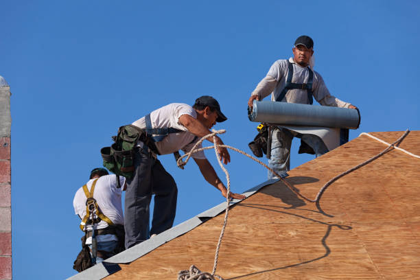Best Commercial Roofing Services  in Tipton, IA