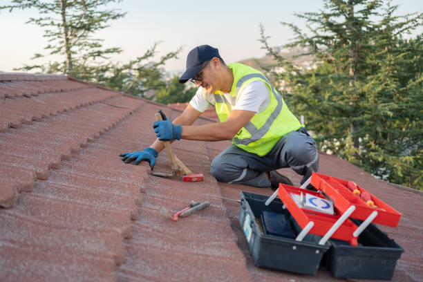 Best Roof Gutter Cleaning  in Tipton, IA